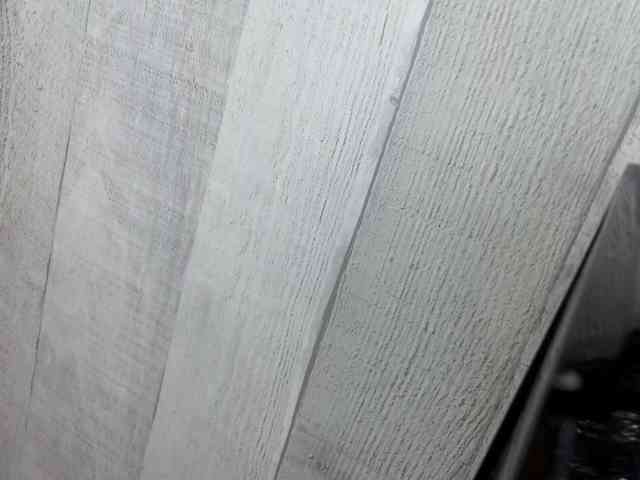 Rainie webcam