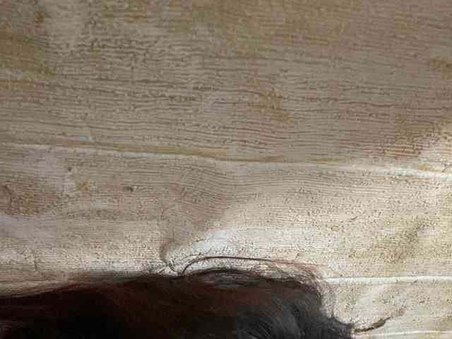 Rainie webcam