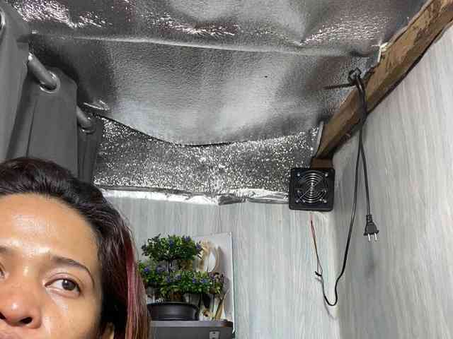 Rainie webcam