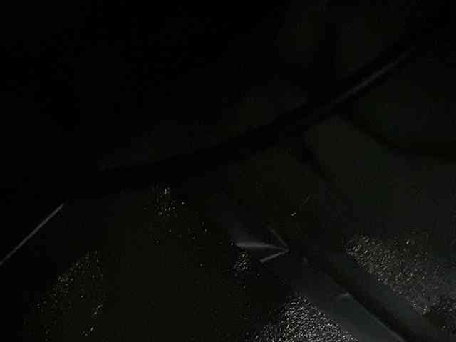 Rainie webcam