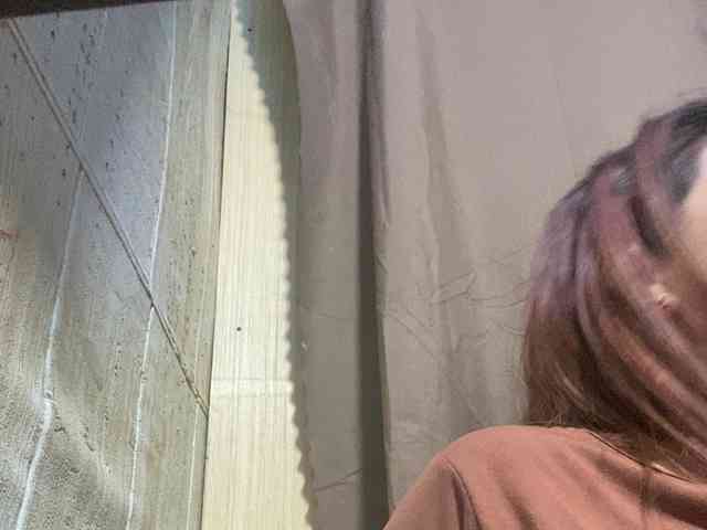 Rainie webcam