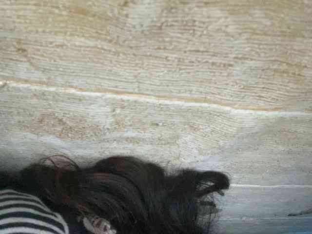 Rainie webcam