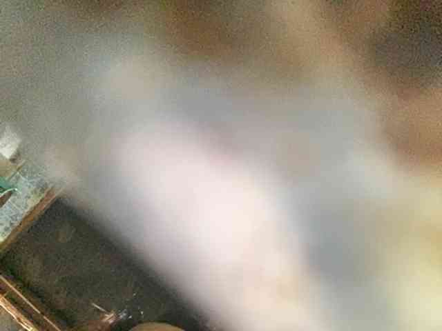 Rainie webcam