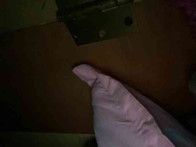 Rainie webcam
