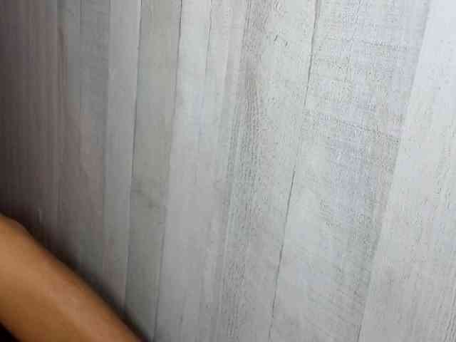Rainie webcam