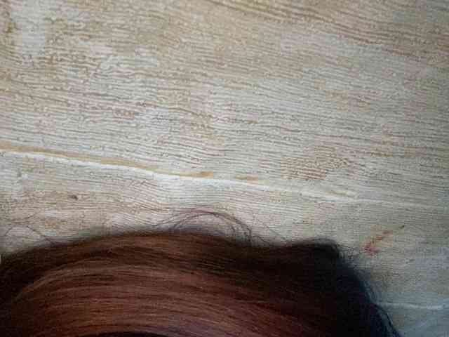 Rainie webcam