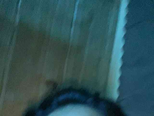 Rainie
