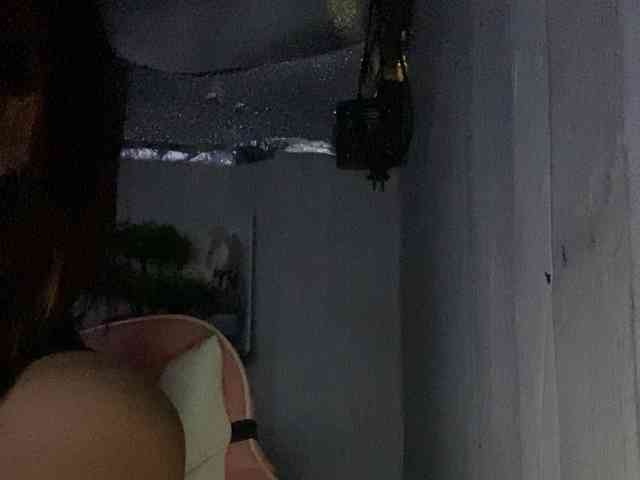 Rainie webcam