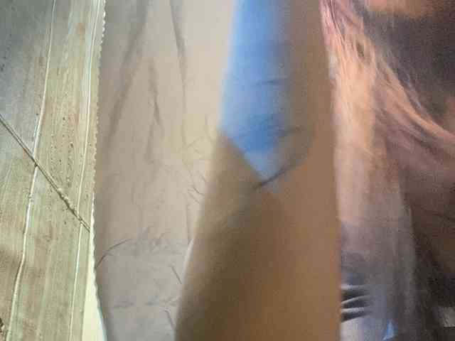 Rainie webcam