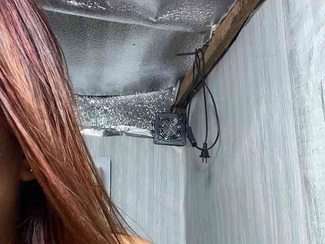 Rainie webcam