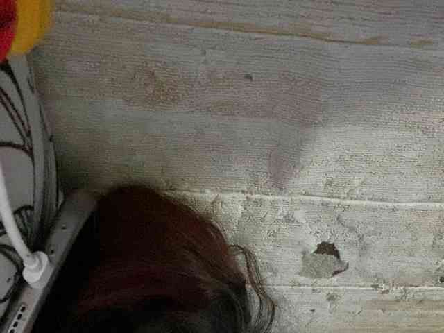 Rainie webcam