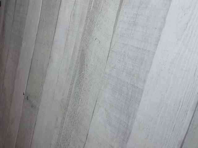 Rainie webcam