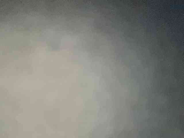 Rainie webcam