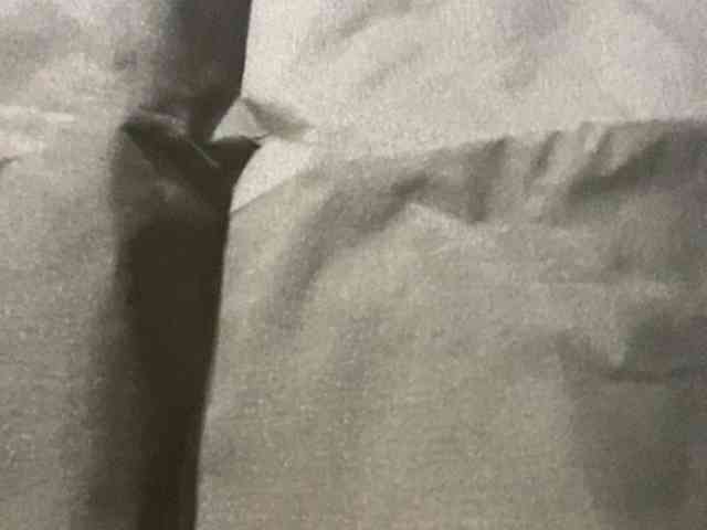 Rainie webcam