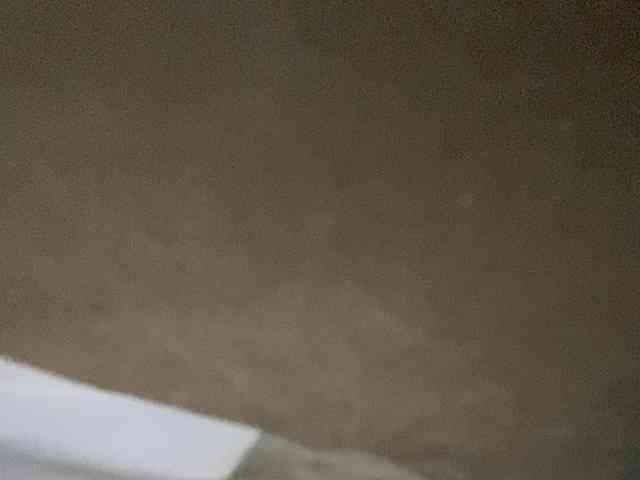 Rainie webcam