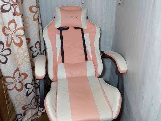 Rainie webcam
