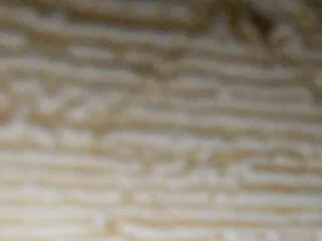 Rainie