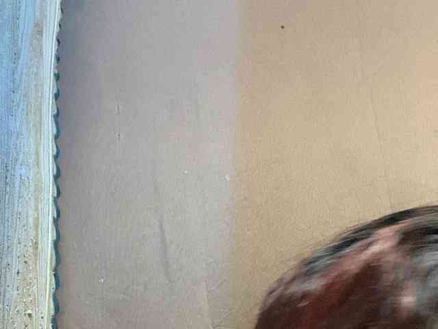 Rainie webcam