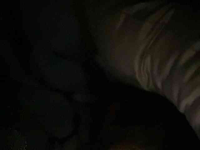 Rainie webcam