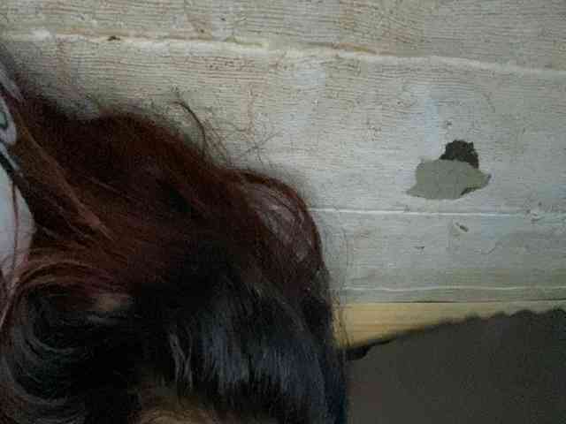 Rainie webcam