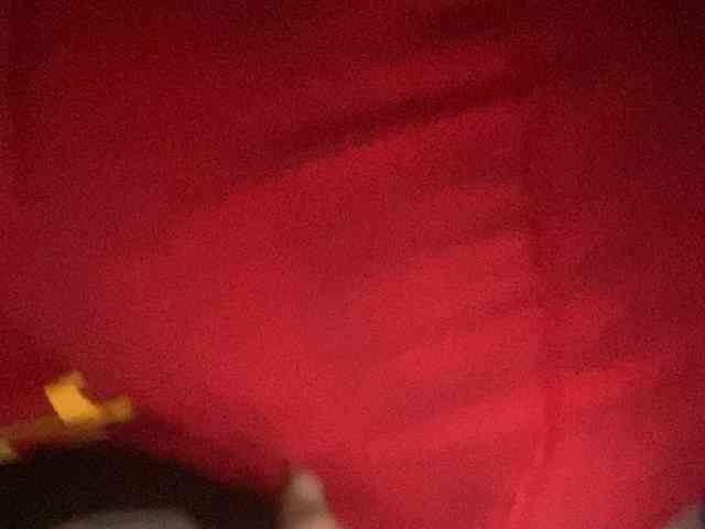 Rainie webcam