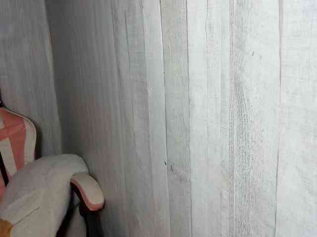 Rainie webcam