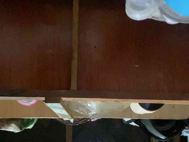 Rainie webcam