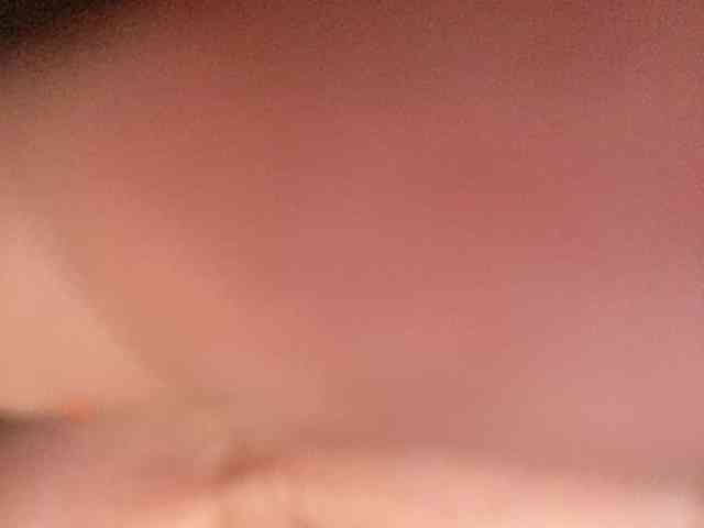 Rainie webcam