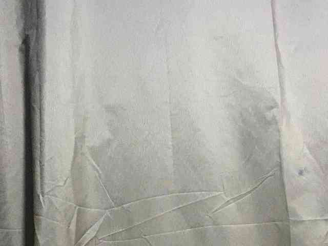 Rainie webcam