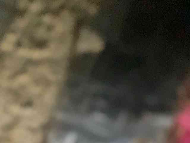 Rainie webcam