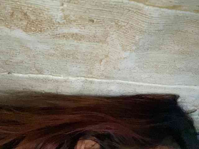 Rainie webcam