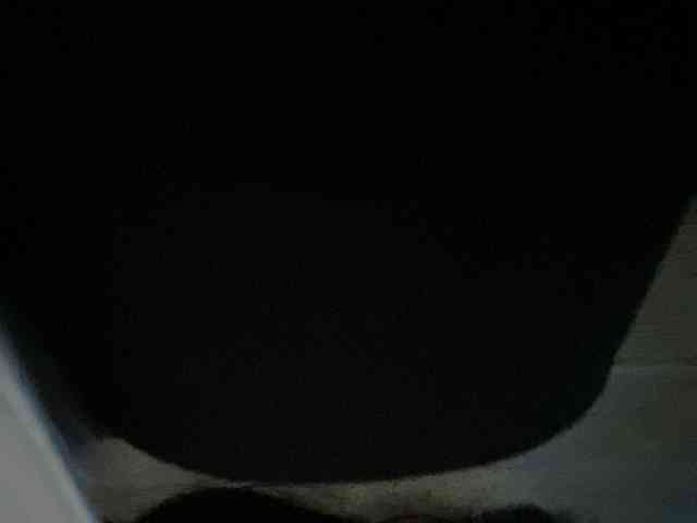 Rainie