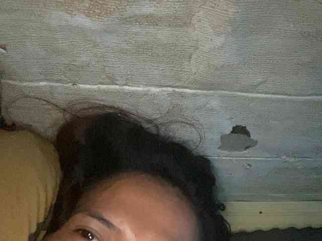 Rainie webcam