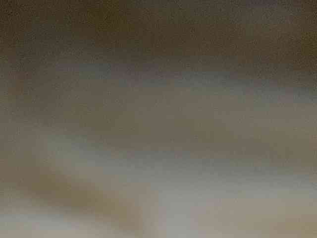 Rainie webcam