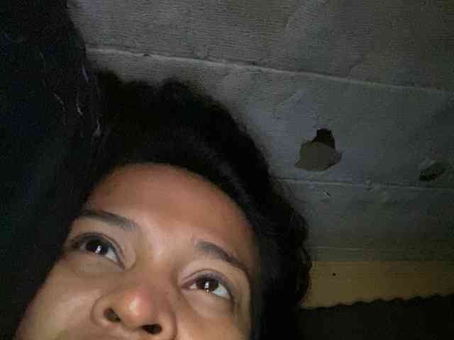 Rainie