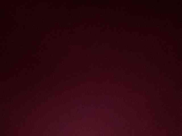 Rainie webcam