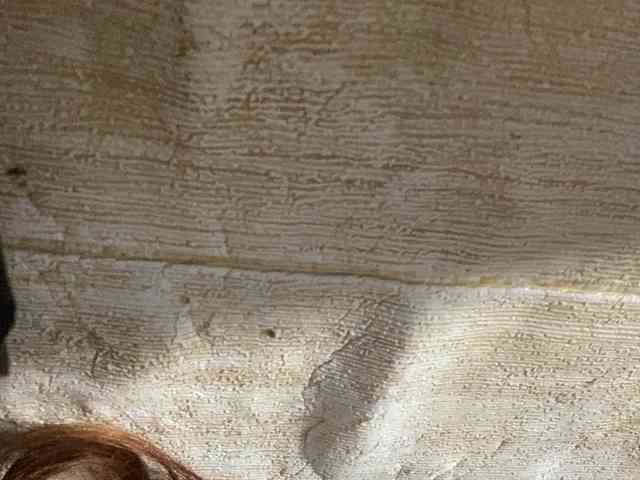 Rainie webcam