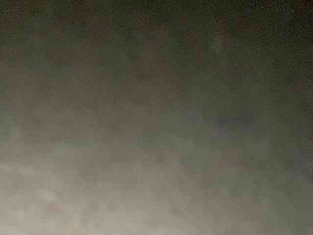 Rainie webcam