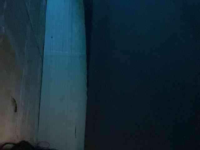 Rainie