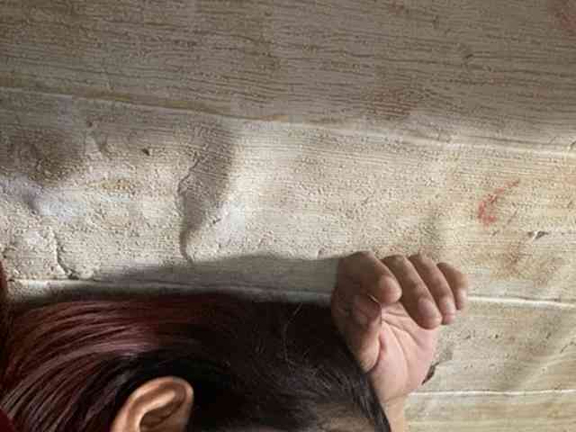 Rainie webcam