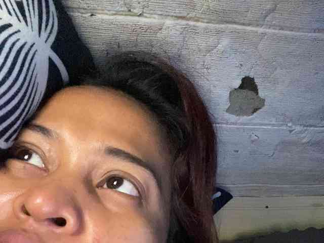 Rainie webcam