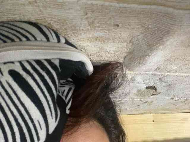 Rainie