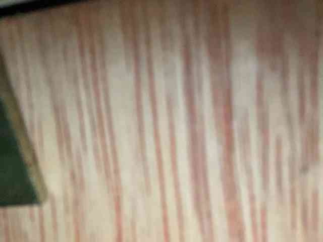 Rainie webcam