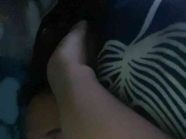 Rainie webcam