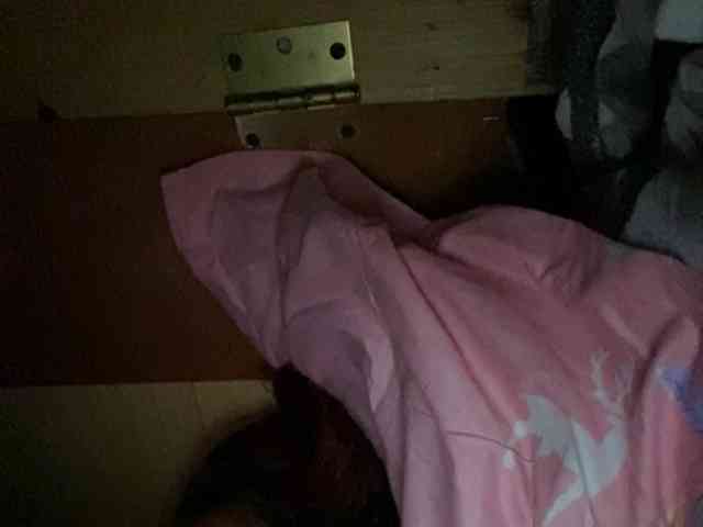 Rainie