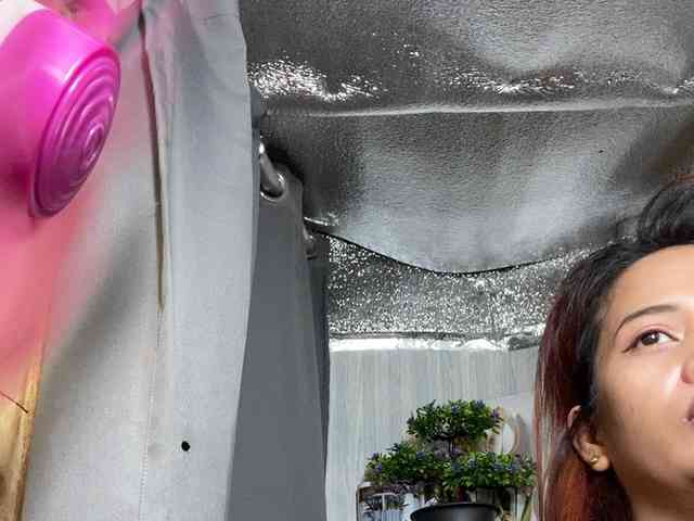 Rainie webcam
