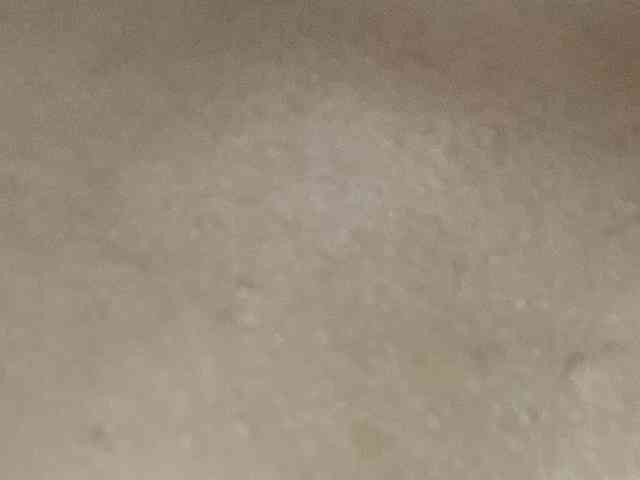 Rainie webcam