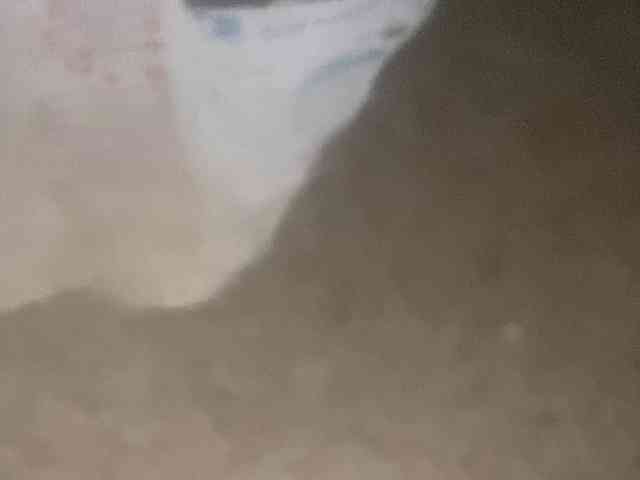Rainie webcam
