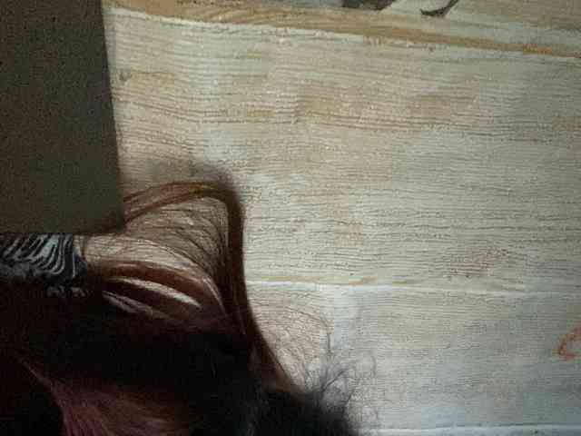 Rainie