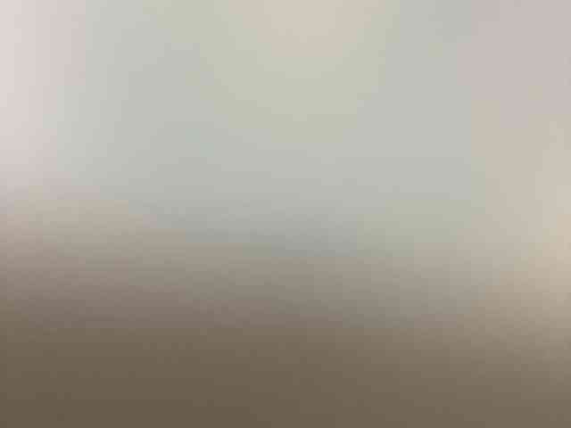 Rainie webcam